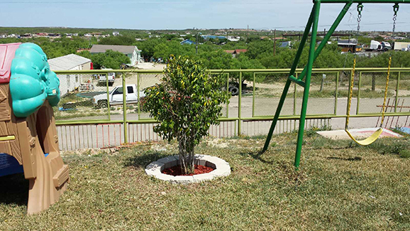 Our Garden After Lawn Service Sample