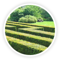Our Garden Hedge Trimming Icon