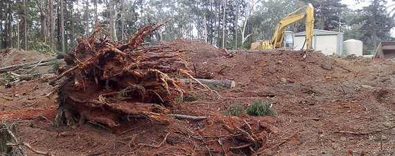 Our Garden Landscaping Land Clearing