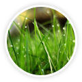 Our Garden Lawn Mowing Icon