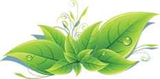 Leafy Corner
